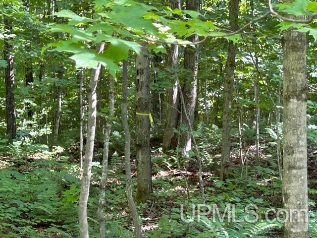 16 16 Mile Lake Road Munising, MI 49862 - Photo 3 of 8