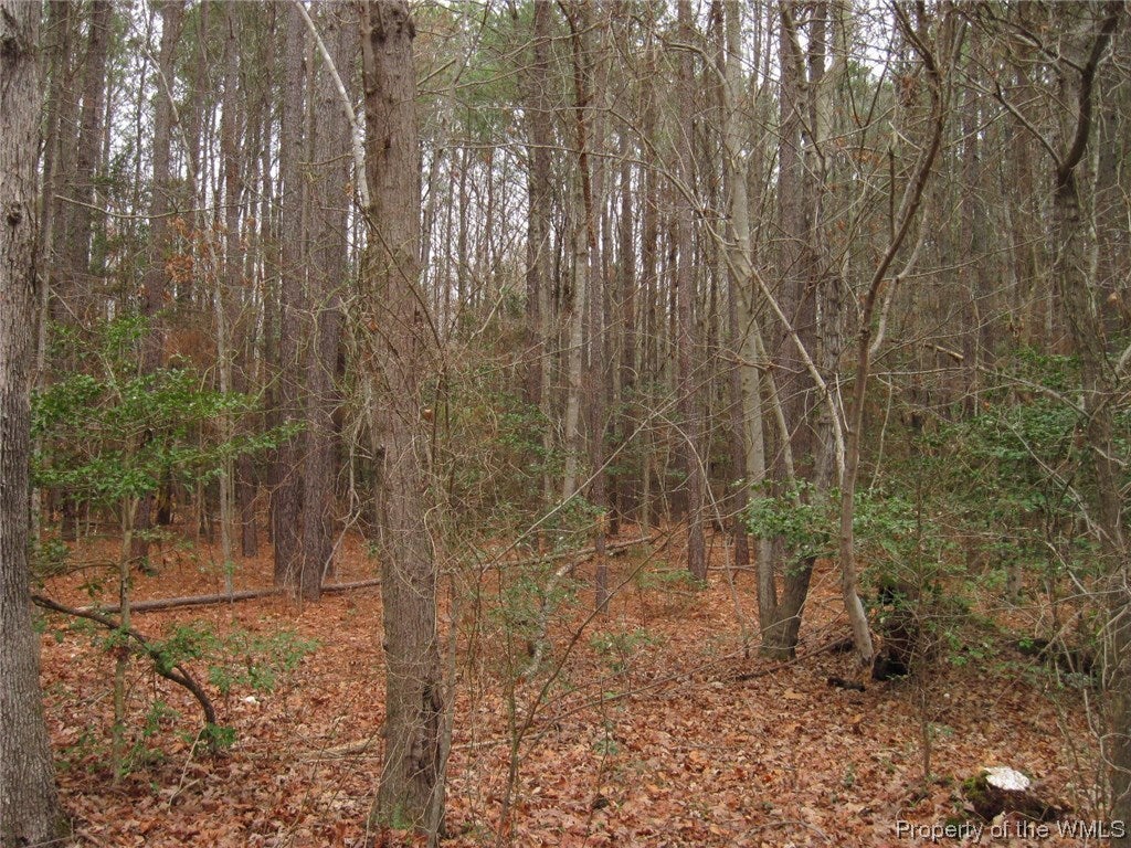 15520 Sandy Point Road Charles City, VA 23030 - Photo 2 of 2 Gallery Image 2