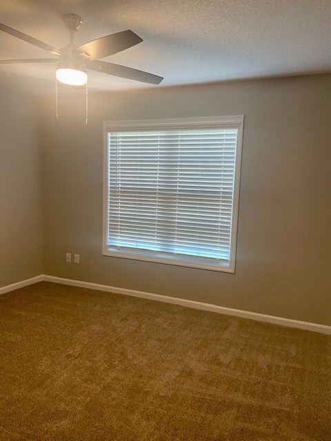 194 Trail Of Hawk Road Quitman, GA 31643 - Photo 15 of 22 Gallery Image 15