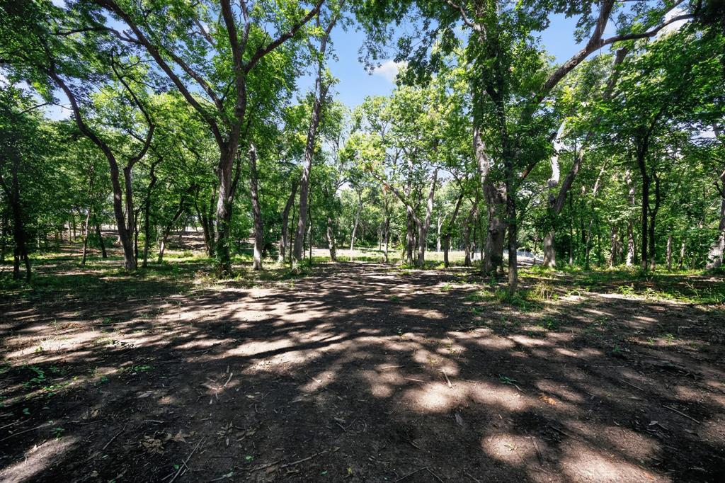 0 Willy Vester Road Van Alstyne, TX 75495 - Photo 6 of 19 a view of a tree in a yard