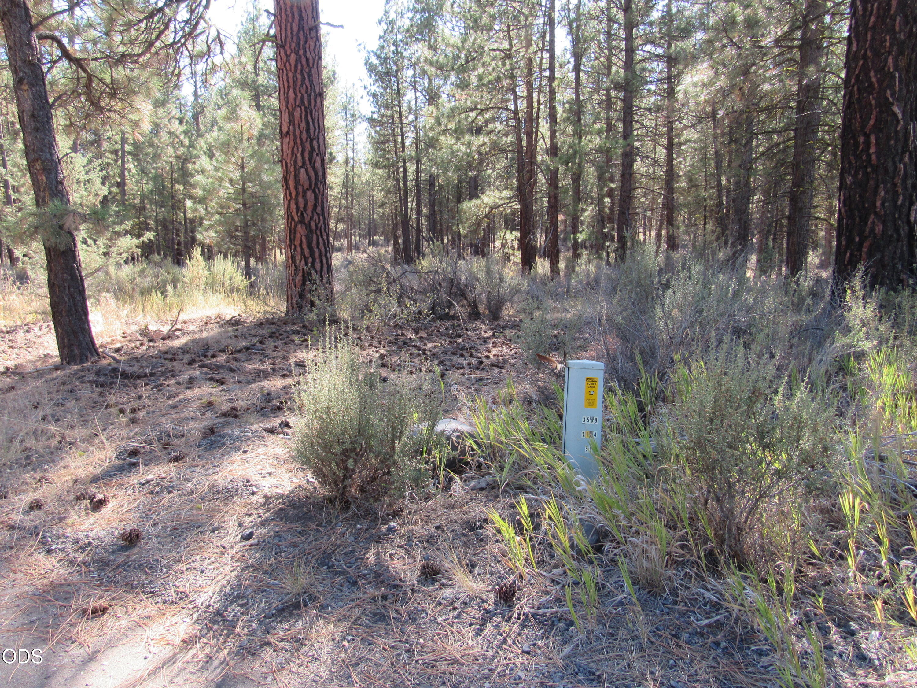 0 Lone Pine Road, Unit 256163 Chiloquin, OR 97624 - Photo 5 of 21 Gallery Image 5