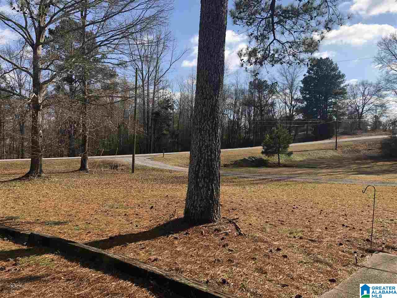 15595 Highway 160 Cleveland, AL 35049 - Photo 17 of 20