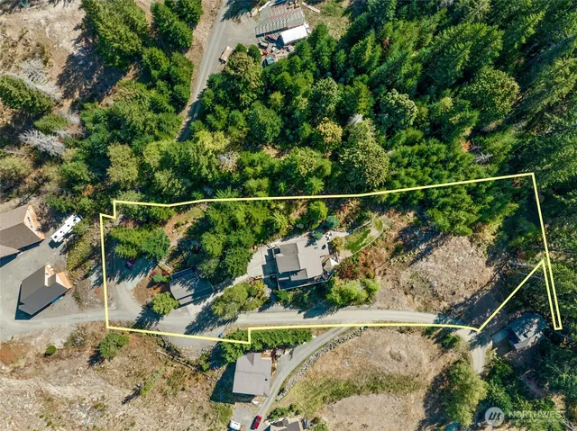 $1,150,000 | 132 Hellem Drive, Packwood, WA 98361