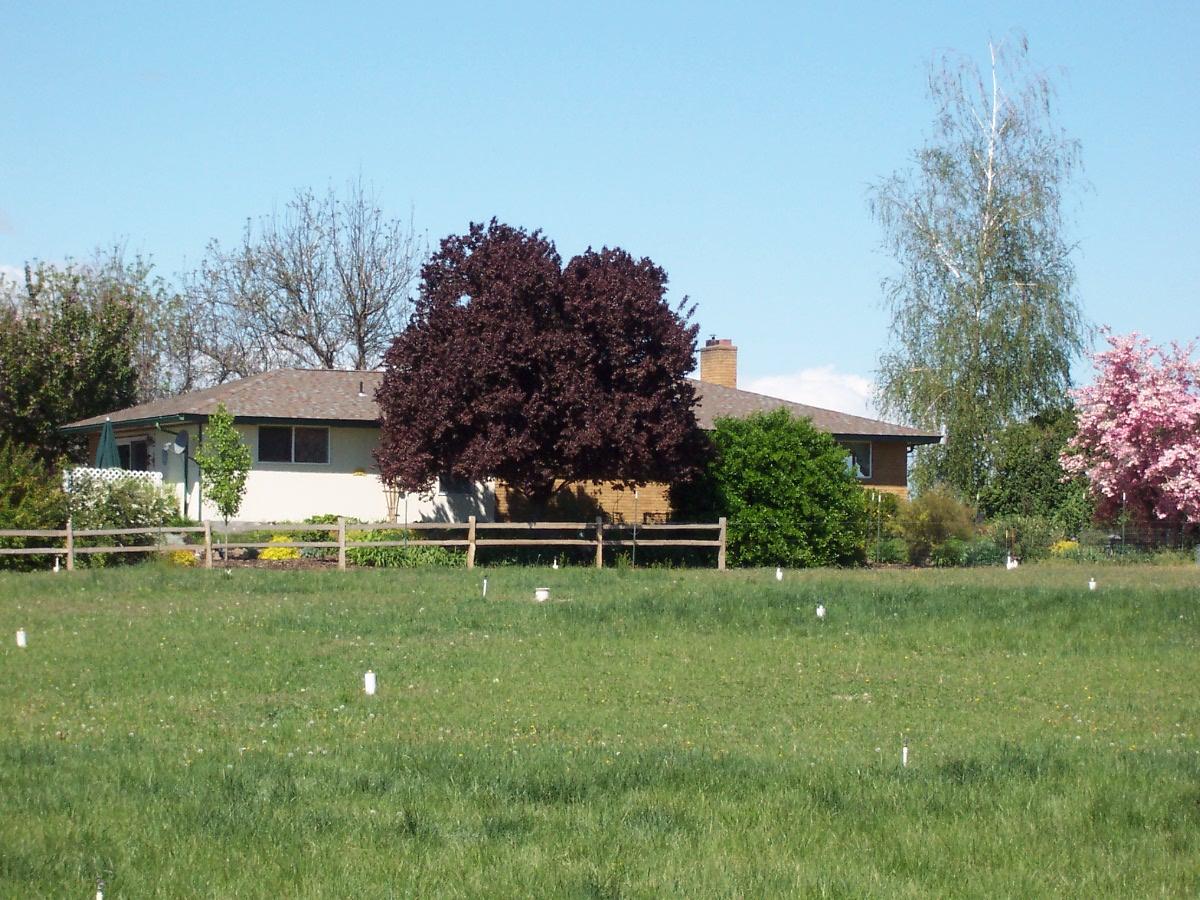 121 Arrowsmith Road Sunnyside, WA 98944 - Photo 11 of 13 a swimming pool with outdoor seating and yard