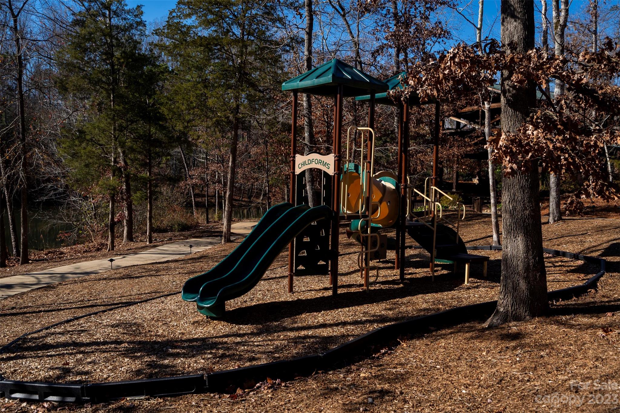 8202 Asher Chase Trail Lancaster, SC 29720 - Photo 38 of 42 a view of a slide