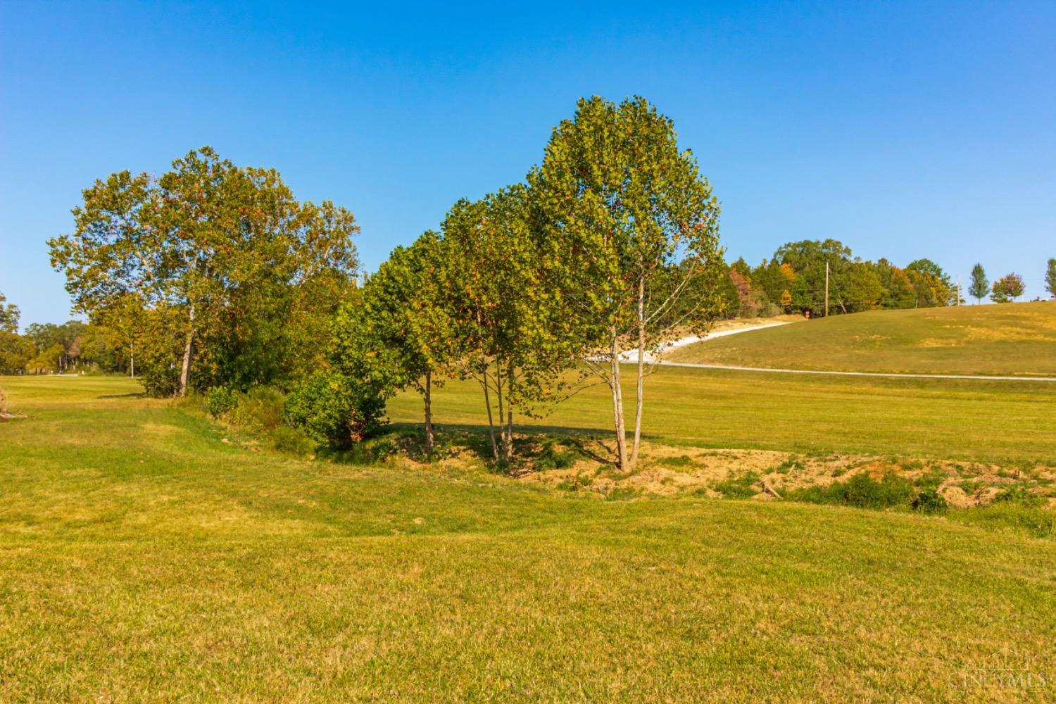 3 Chapparal Road West Union, OH 45693 - Photo 7 of 11