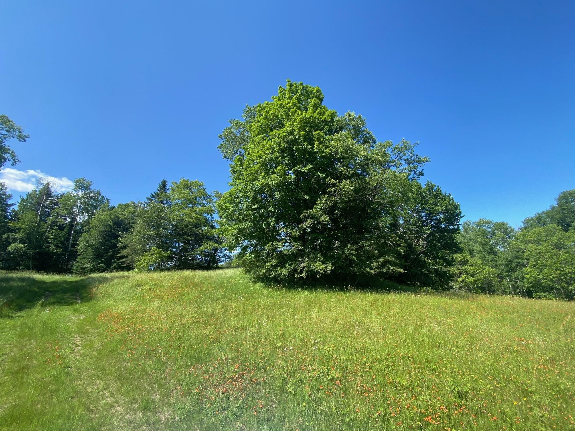 - Piper Hill Road Colebrook, NH 03576 - Photo 4 of 38