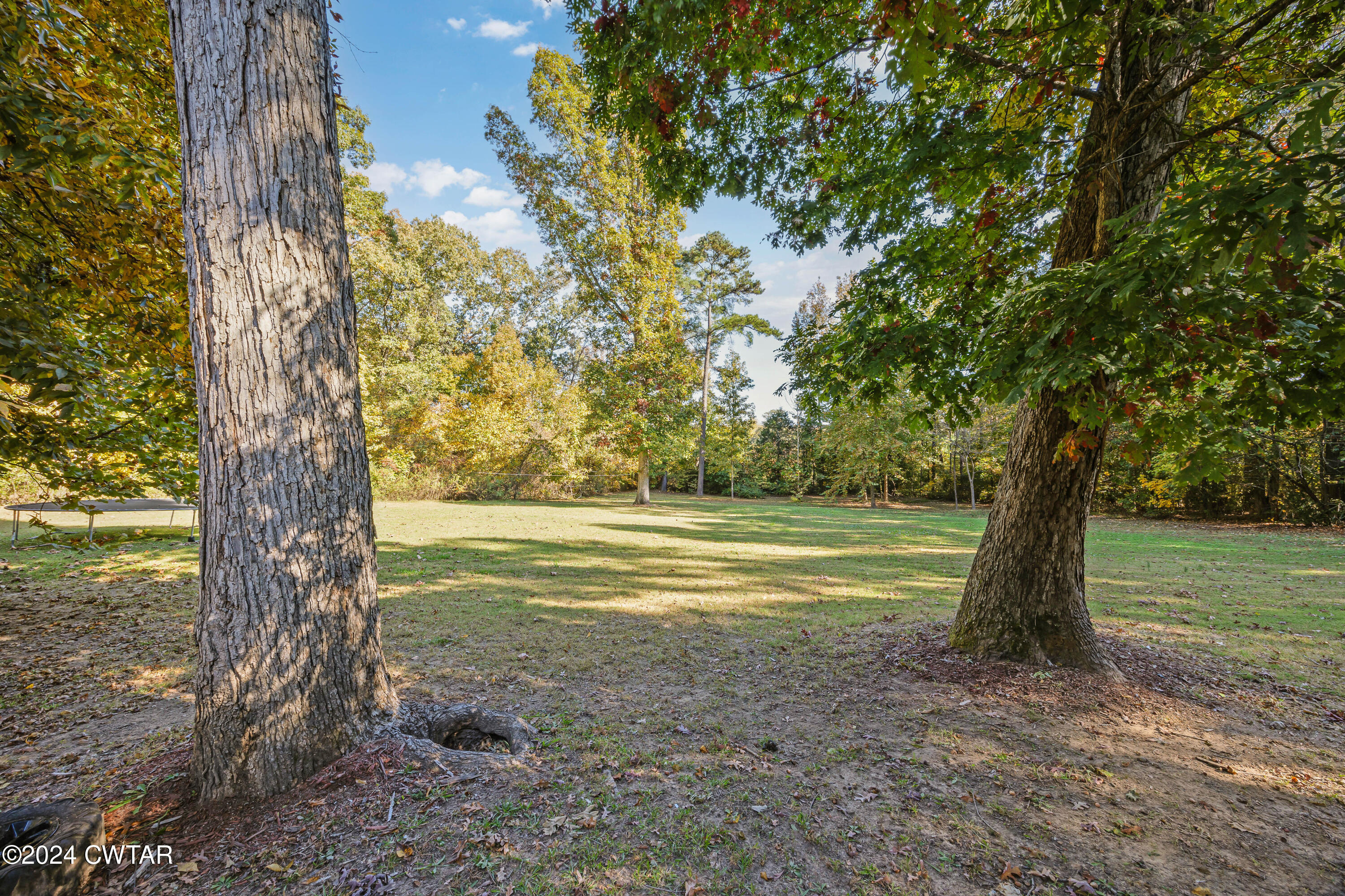 903 Rocky Springs Road Beech Bluff, TN 38313 - Photo 22 of 28 Back Yard