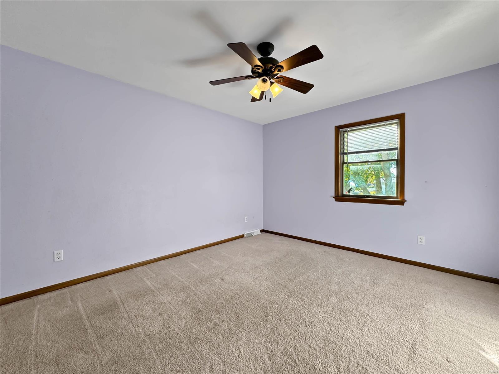 211 West Eldondale Drive Hecker, IL 62248 - Photo 22 of 41