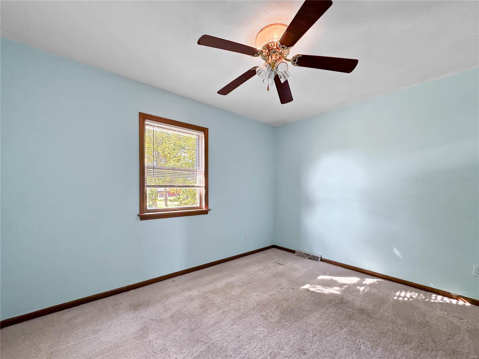 211 West Eldondale Drive Hecker, IL 62248 - Photo 25 of 41