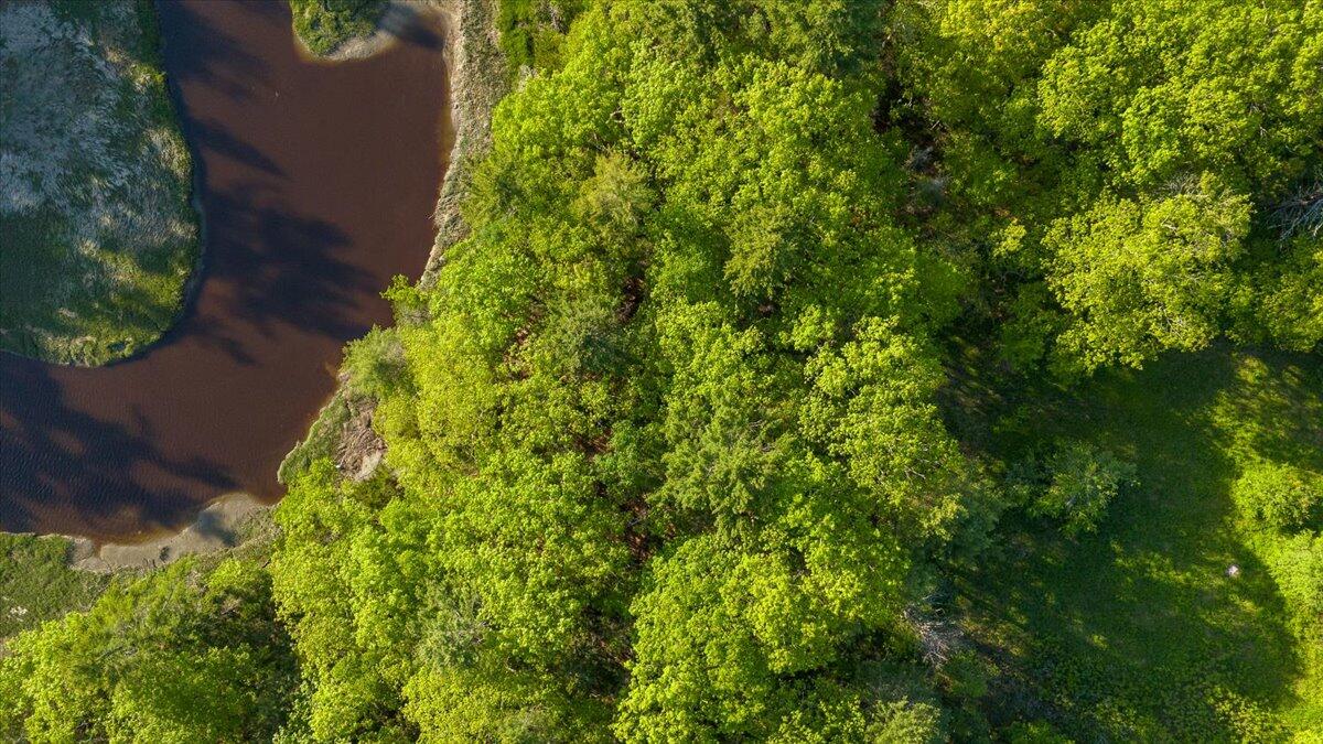 2195 Friendship Road Waldoboro, ME 04572 - Photo 9 of 17 2195 Friendship Road, Waldoboro