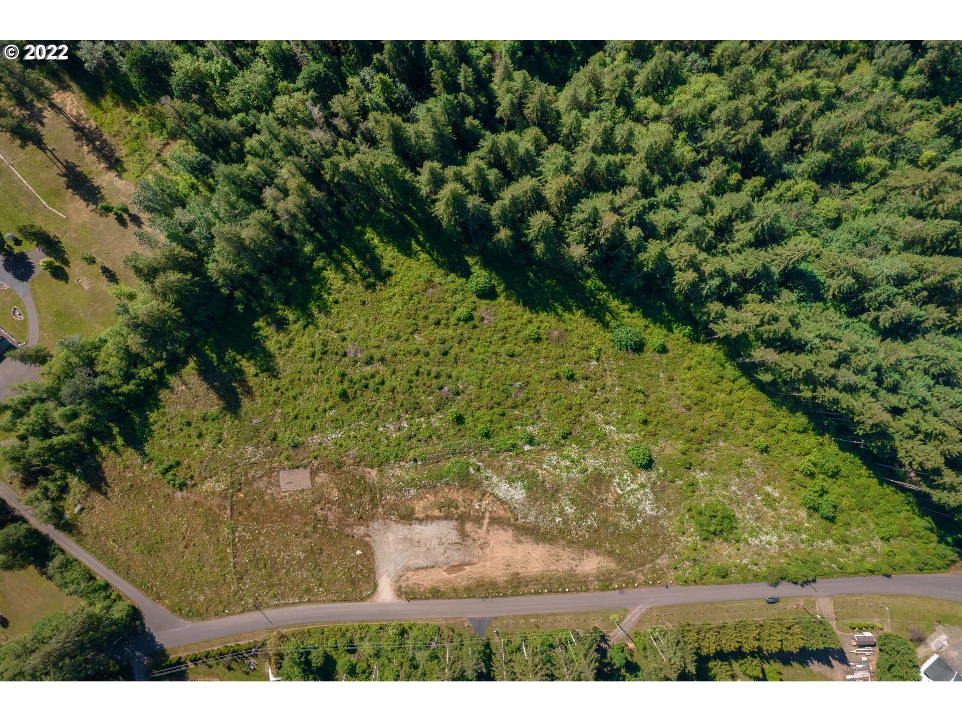 30007 Northeast Mc Bride Road Battle Ground, WA 98604 - Photo 4 of 7 a view of a yard with an outdoor space