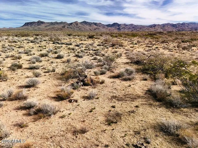 a view of a dry yard with mountains in the background