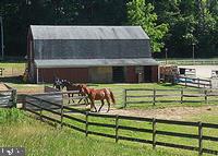 13 Roe Lane Arnold, MD 21012 - Photo 29 of 31 Community Amenities: Andy Smith equestrian center
