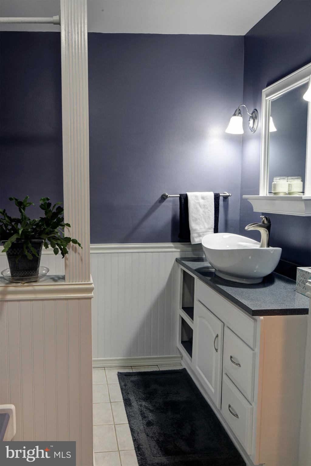 Entry level Master full bath