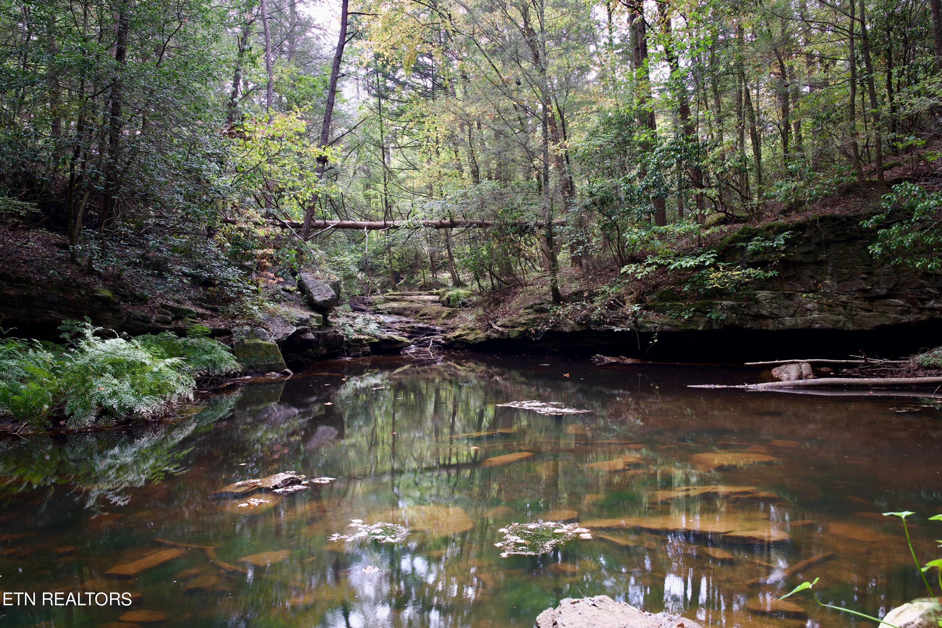 Peter Cave Road Whitwell, TN 37397 - Photo 13 of 60 15