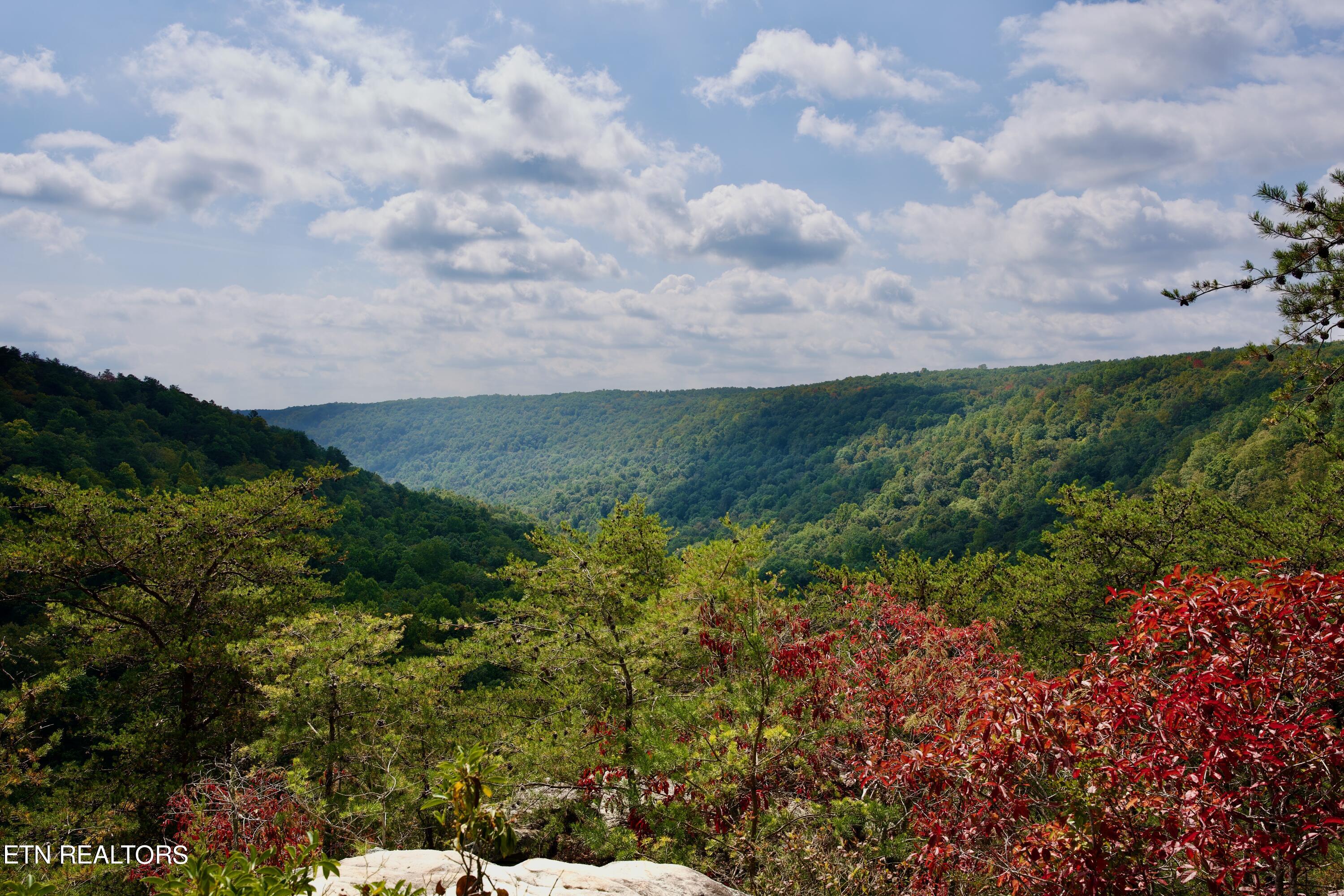 Peter Cave Road Whitwell, TN 37397 - Photo 29 of 60 34