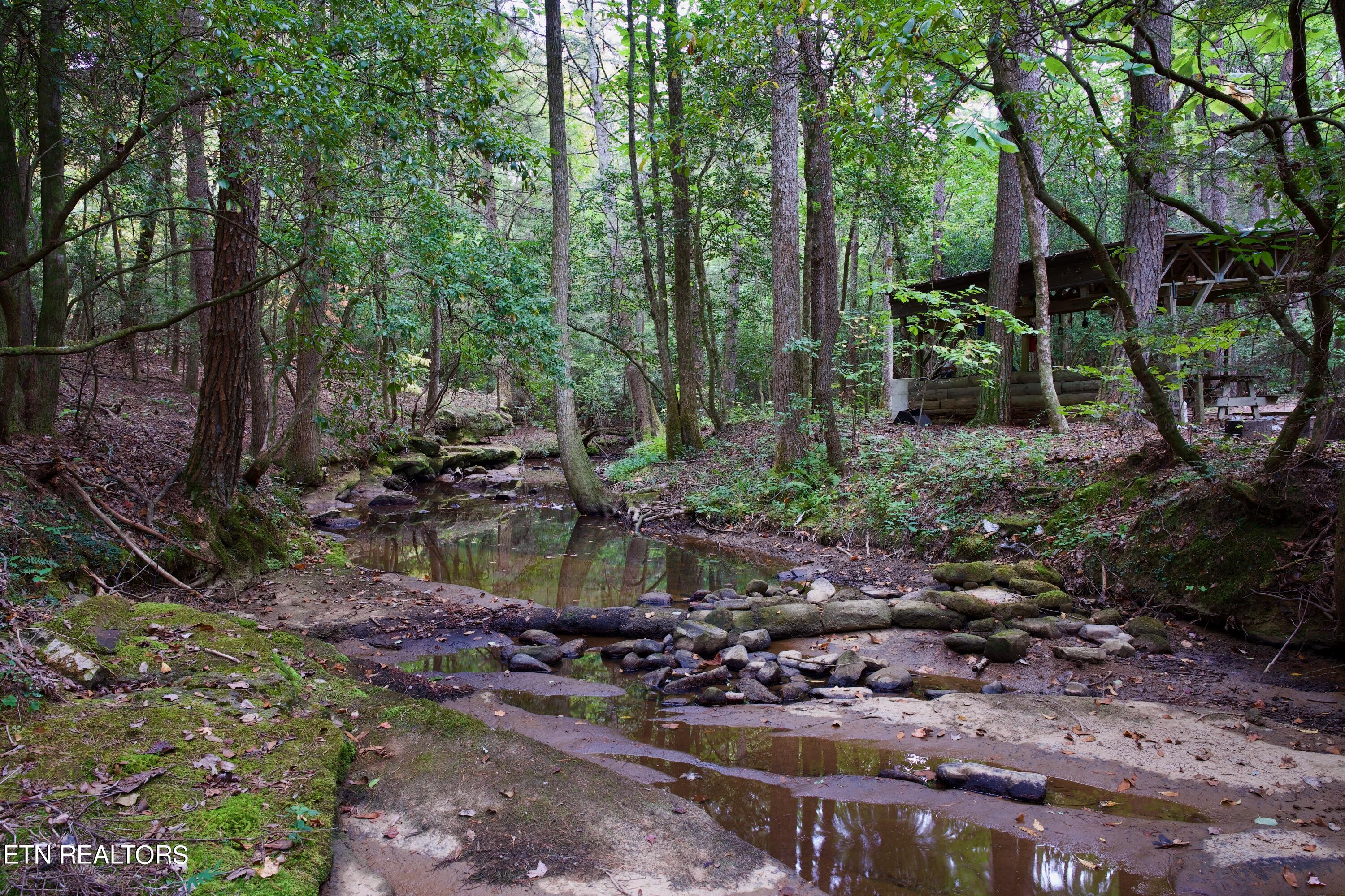 Peter Cave Road Whitwell, TN 37397 - Photo 3 of 60 10