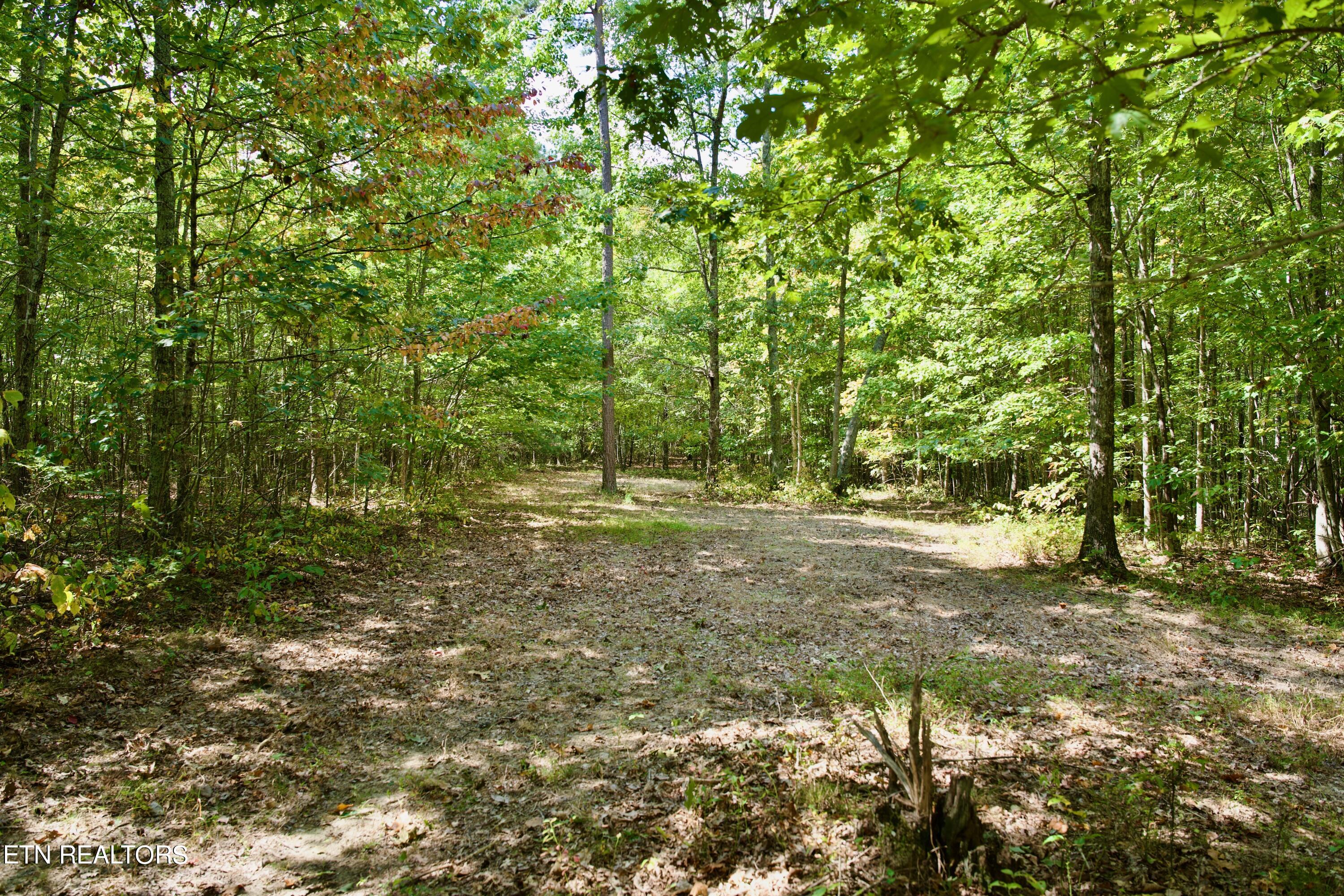 Peter Cave Road Whitwell, TN 37397 - Photo 40 of 60 45