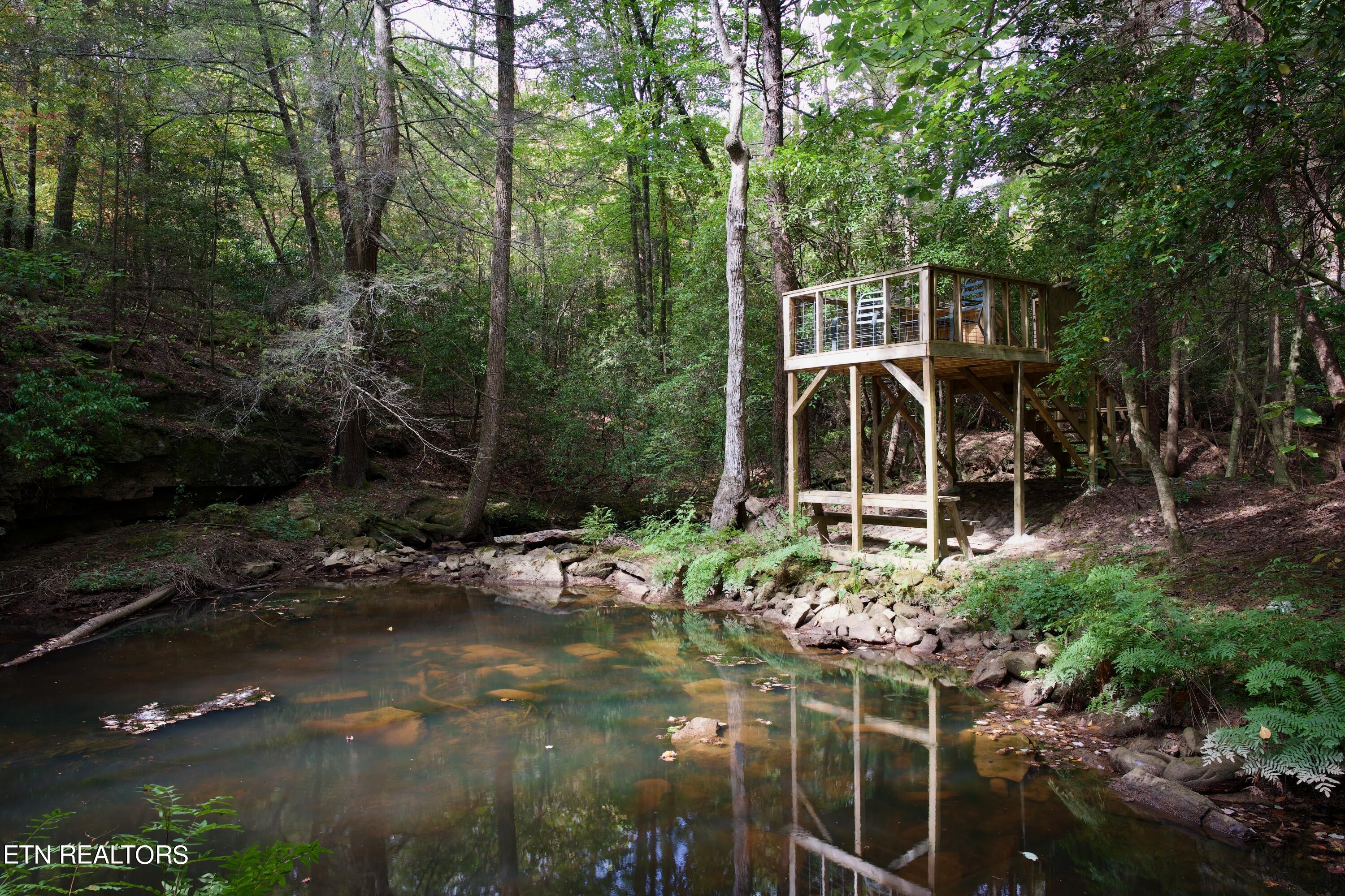 Peter Cave Road Whitwell, TN 37397 - Photo 4 of 60 3