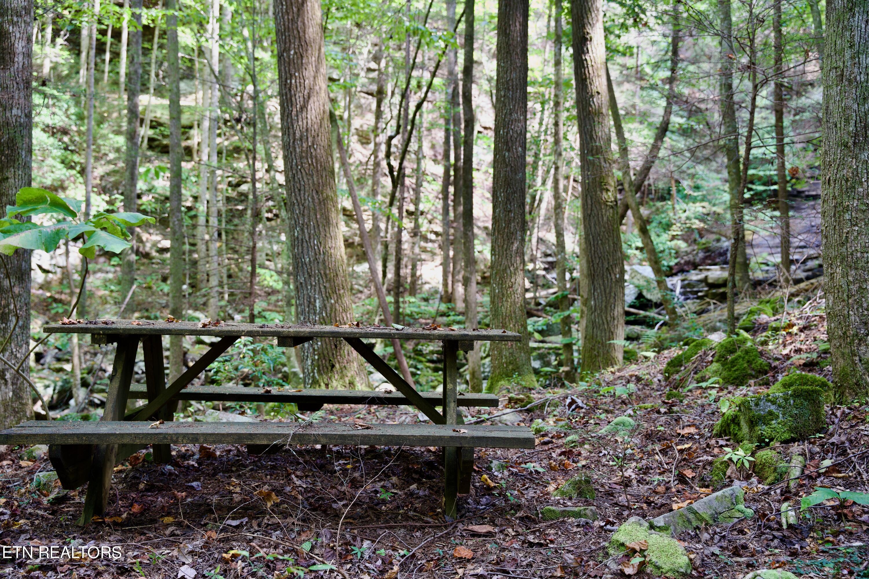 Peter Cave Road Whitwell, TN 37397 - Photo 54 of 60 59