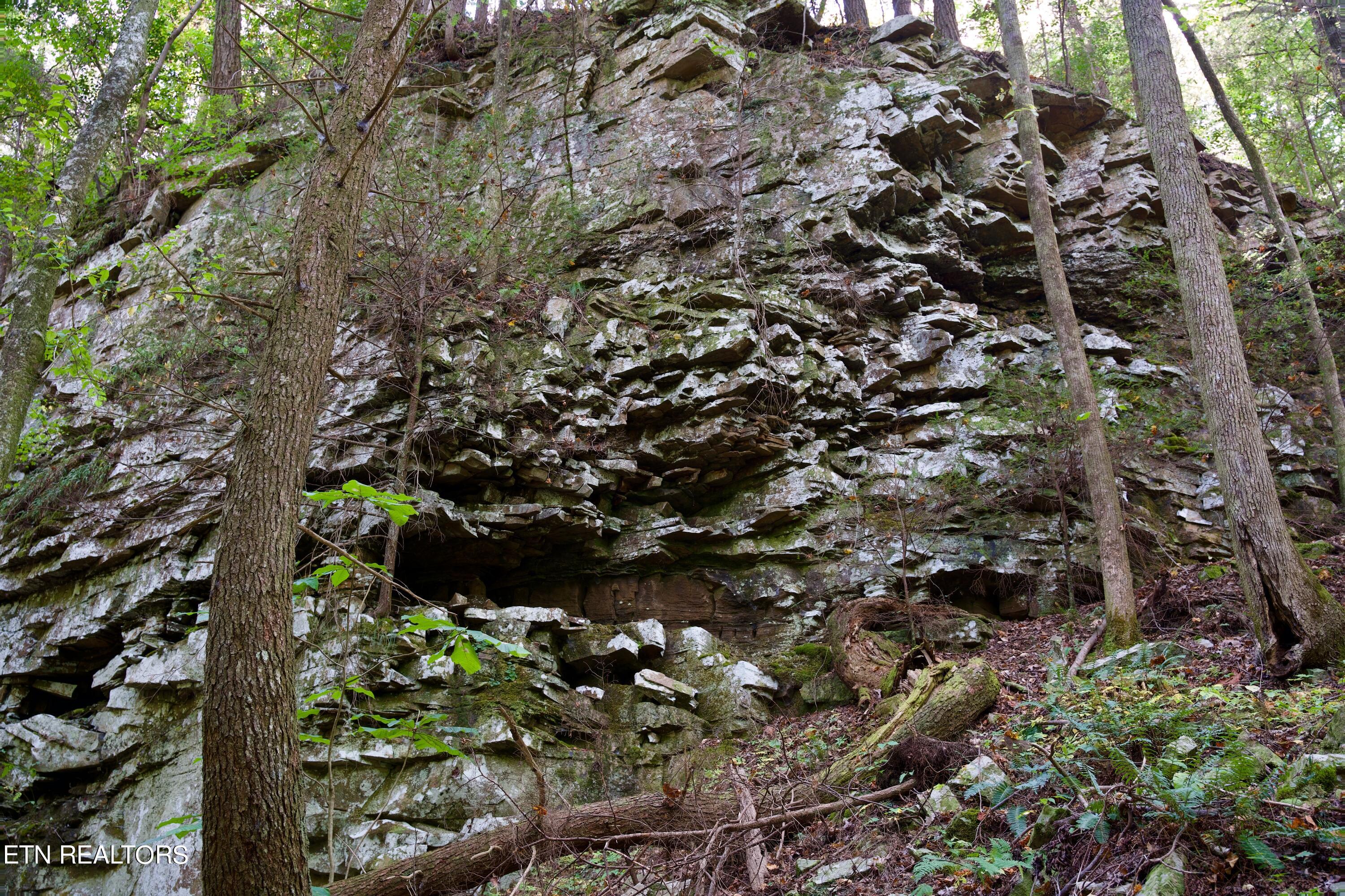 Peter Cave Road Whitwell, TN 37397 - Photo 55 of 60 60