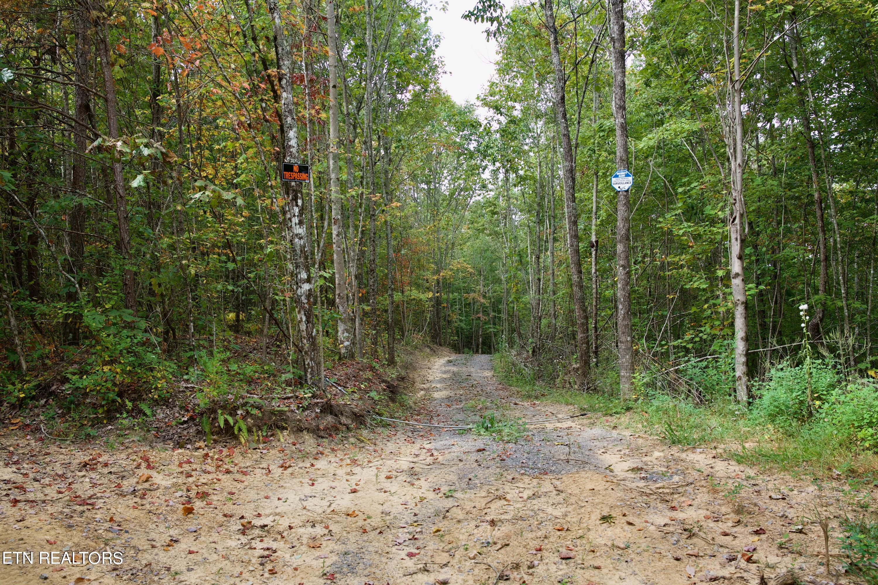 Peter Cave Road Whitwell, TN 37397 - Photo 6 of 60 6