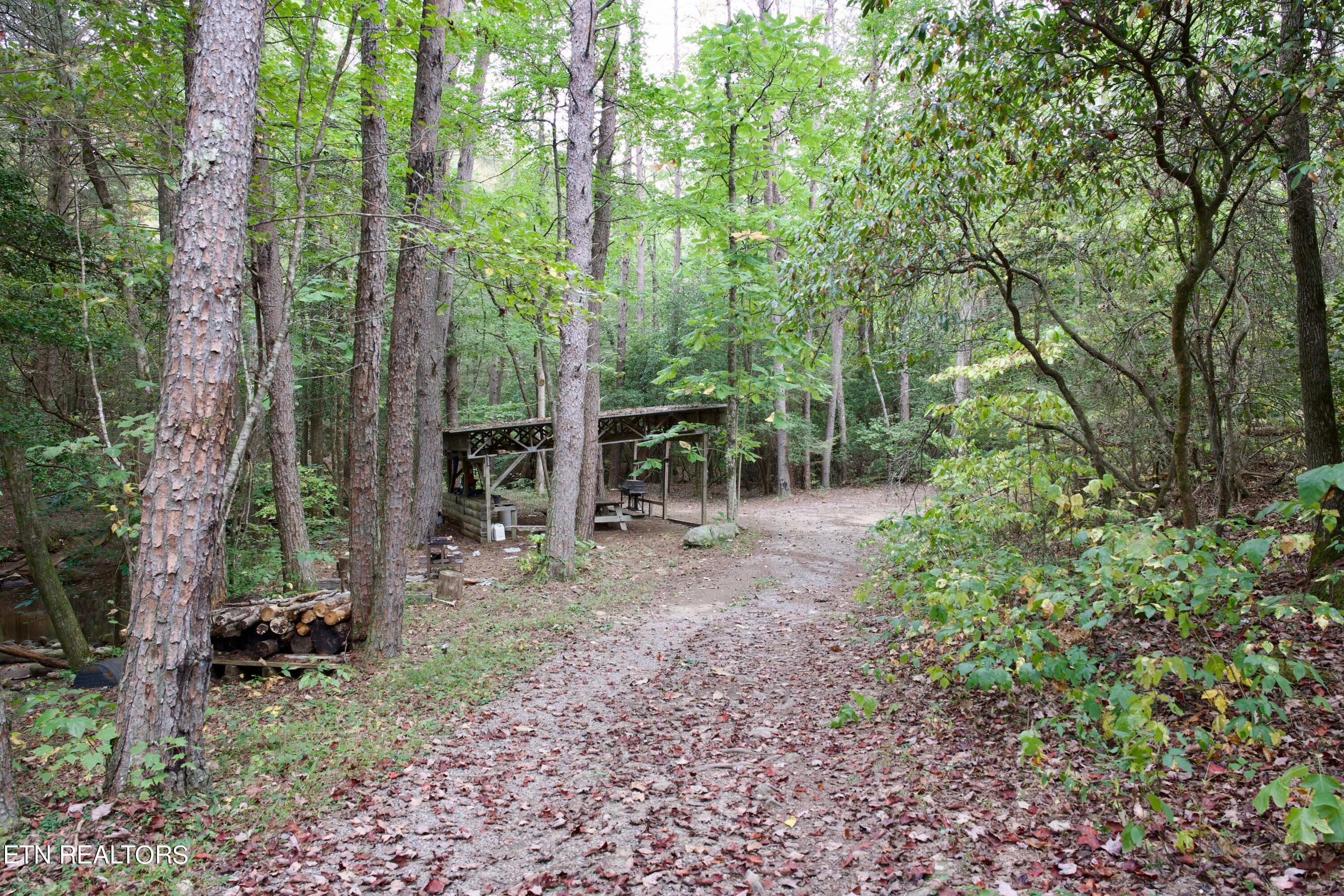 Peter Cave Road Whitwell, TN 37397 - Photo 8 of 60 8