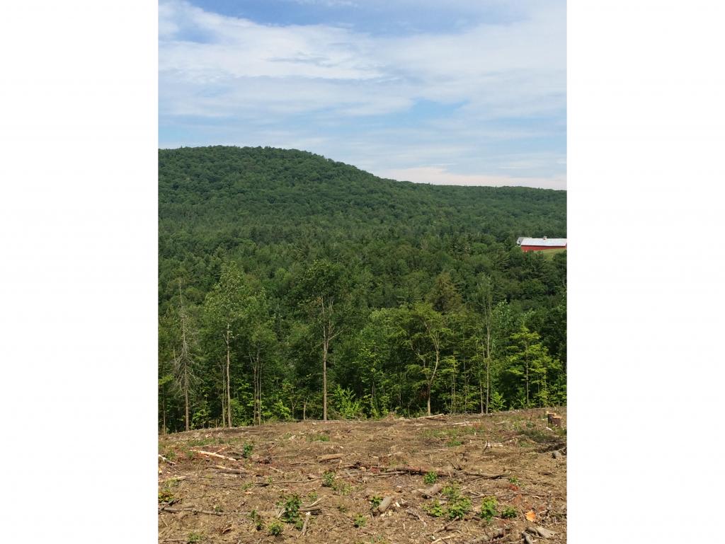 22 B Pearl Lake Road Landaff, NH 03585 - Photo 6 of 8 Gallery Image 6