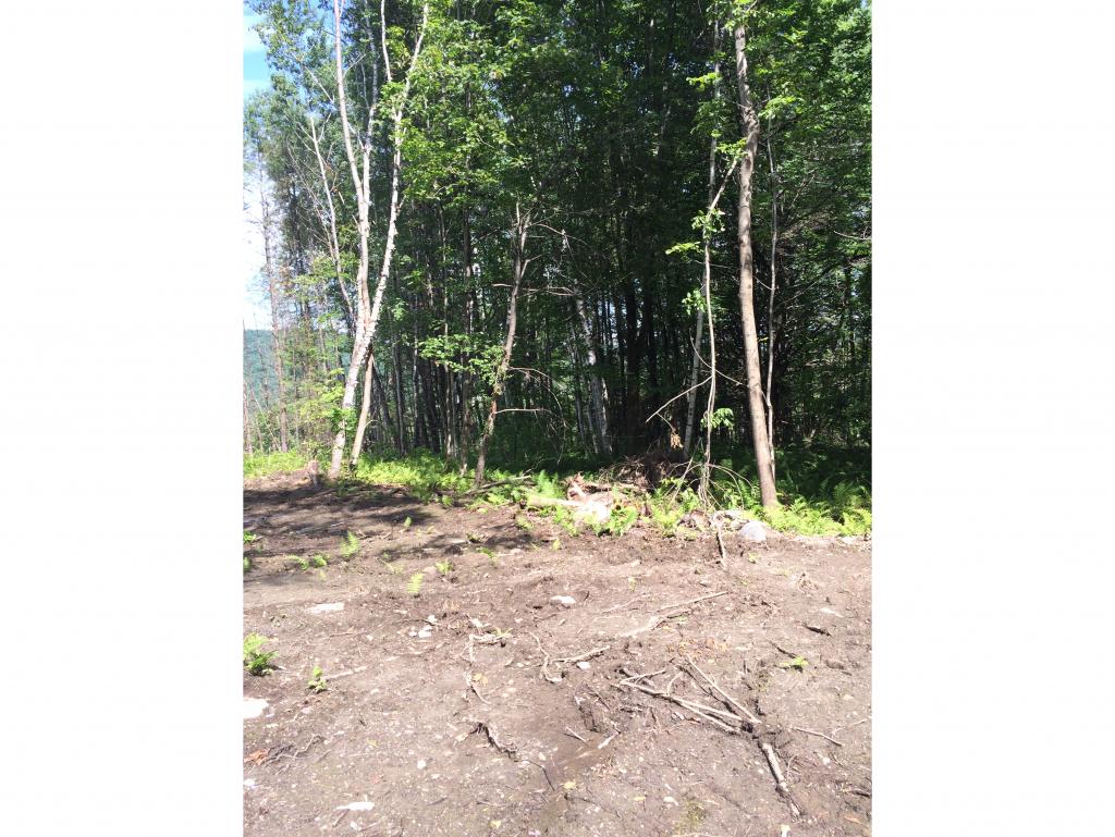 22 B Pearl Lake Road Landaff, NH 03585 - Photo 7 of 8 Gallery Image 7