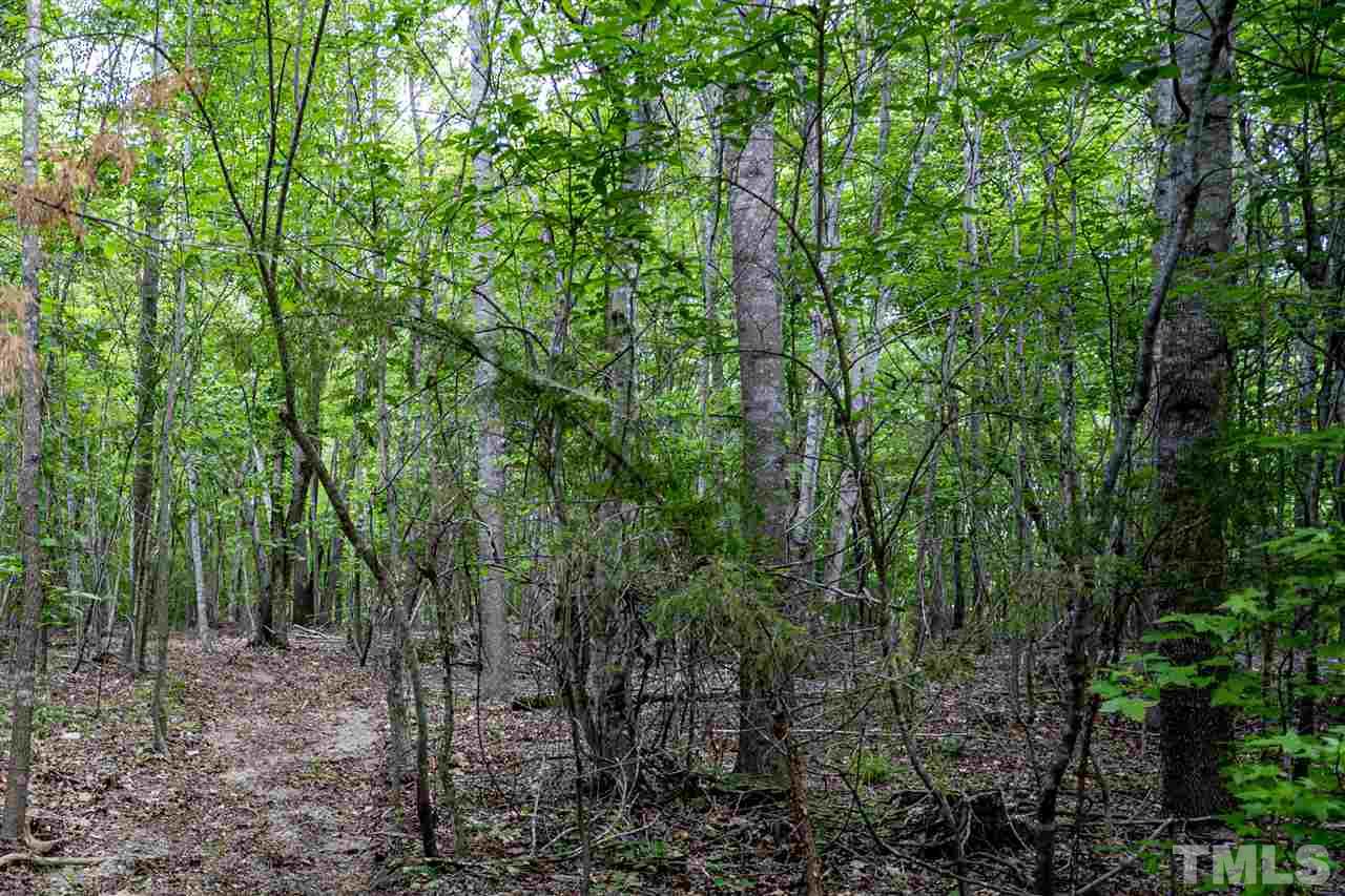 Lot 22 Buckhorn Ridge Road Mebane, NC 27302 - Photo 11 of 28 Gallery Image 11