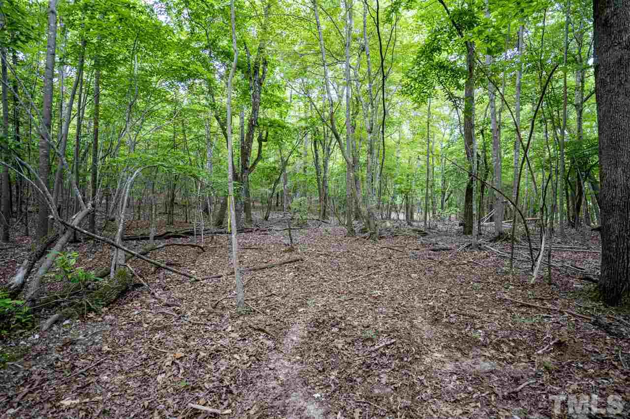 Lot 22 Buckhorn Ridge Road Mebane, NC 27302 - Photo 7 of 28 Gallery Image 7