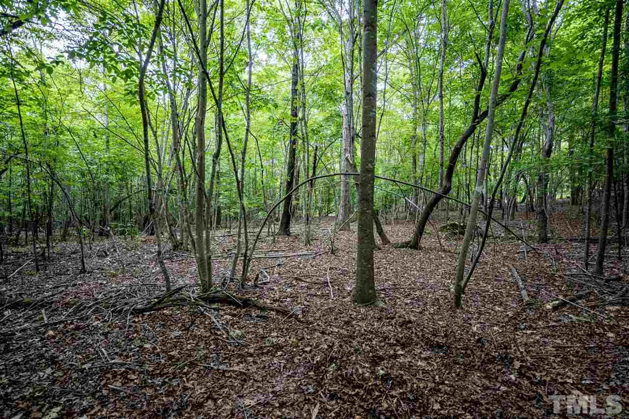 Lot 22 Buckhorn Ridge Road Mebane, NC 27302 - Photo 8 of 28 Gallery Image 8