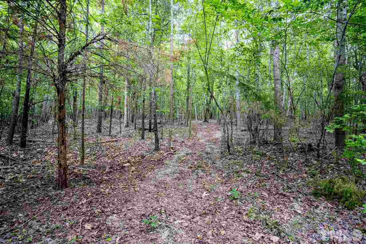 Lot 22 Buckhorn Ridge Road Mebane, NC 27302 - Photo 10 of 28 Gallery Image 10