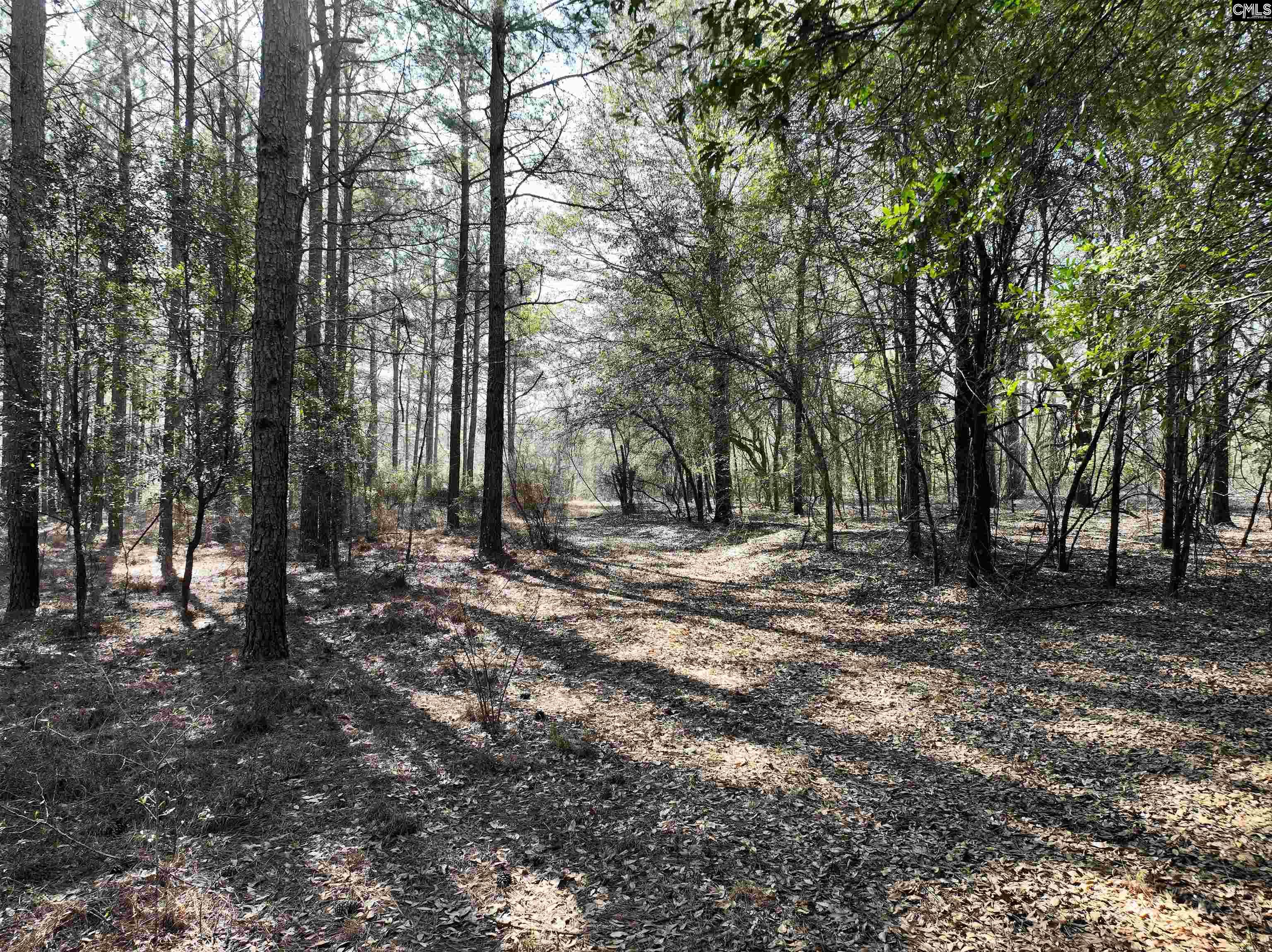 0 Salley Road Salley, SC 29137 - Photo 10 of 21