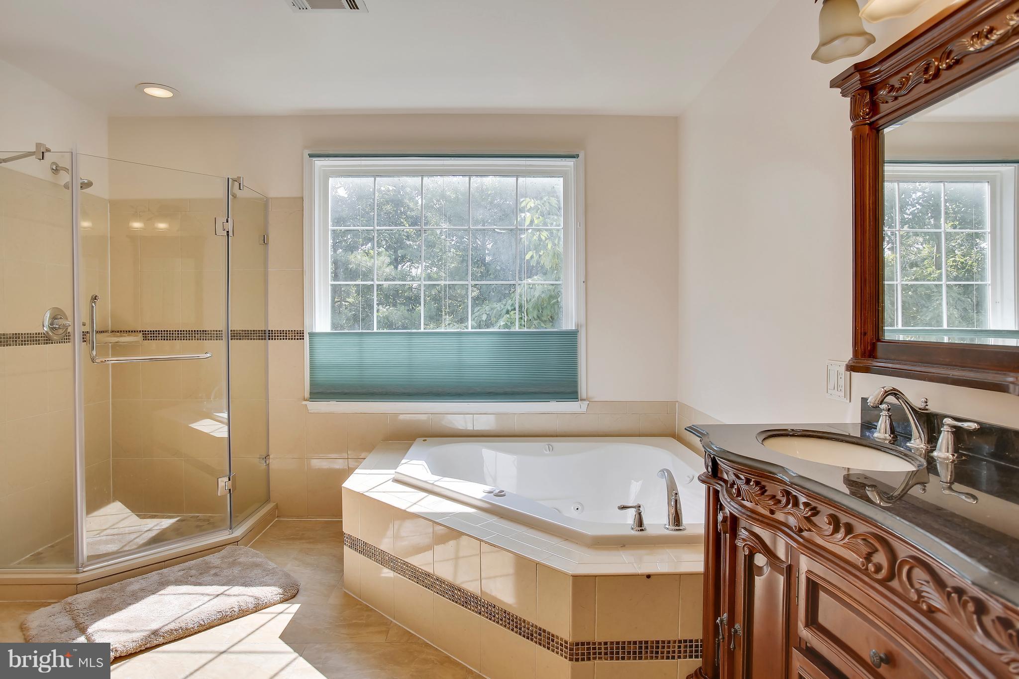 12413 Brown Fox Way Reston, VA 20191 - Photo 16 of 30 Bath (Master)