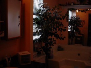 112 Howington Boulevard Seligman, AZ 86337 - Photo 2 of 6
