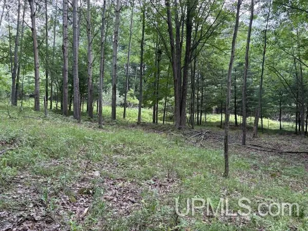 $45,000 | Tbd East H Street, Iron Mountain, MI 49801