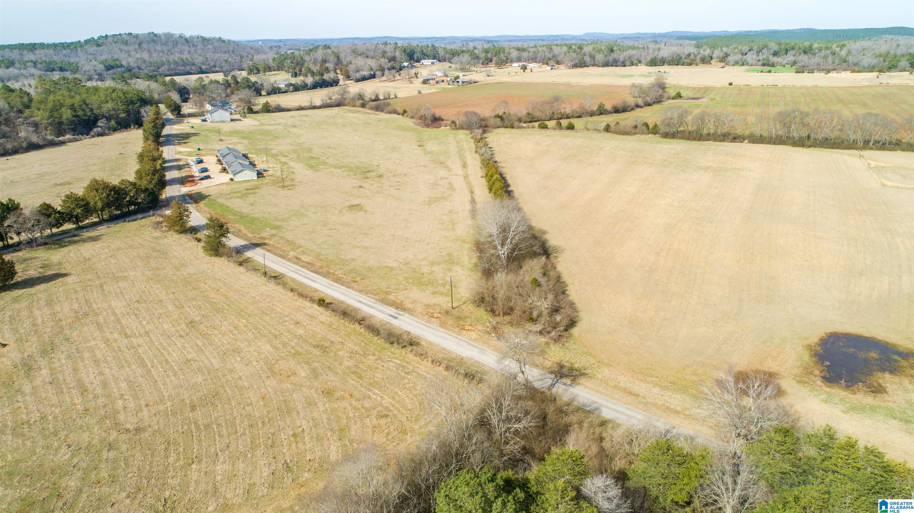 0 Oak Grove Road Munford, AL 36268 - Photo 4 of 9
