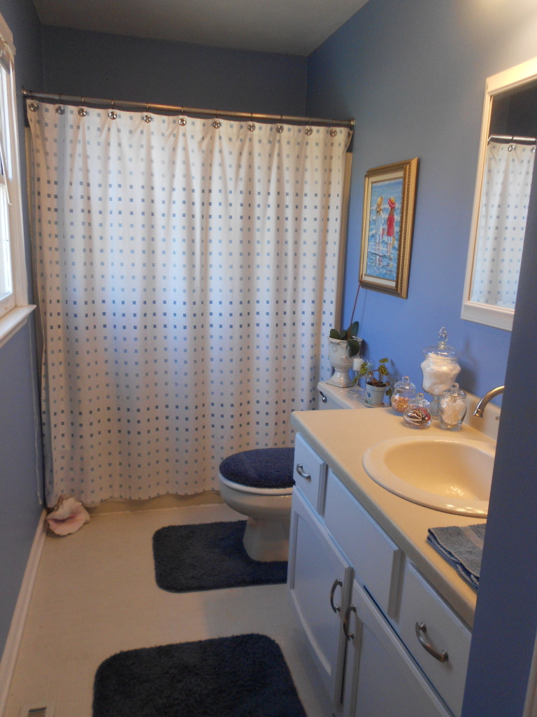257 Jay Ridge Road Cloverdale, VA 24077 - Photo 13 of 26 DSCN0917