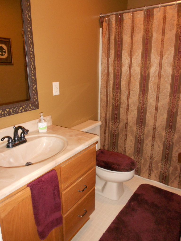 257 Jay Ridge Road Cloverdale, VA 24077 - Photo 8 of 26 DSCN0900
