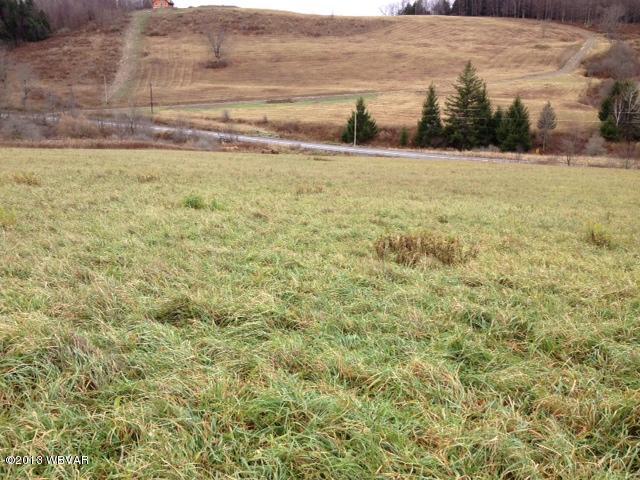 Lot #6 Deerman Road Knoxville, PA 16928 - Photo 1 of 1 main