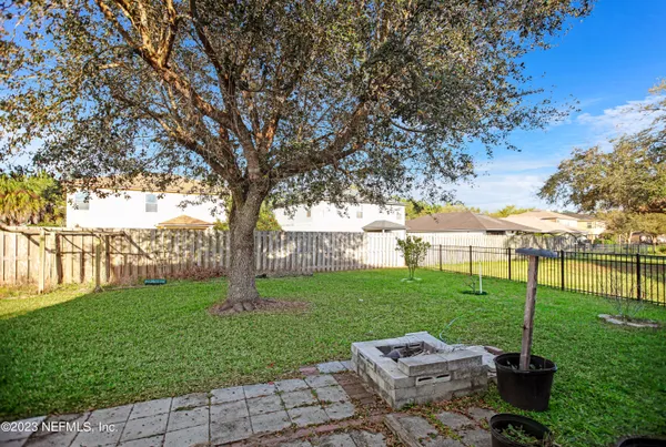 a view of a park with a tree