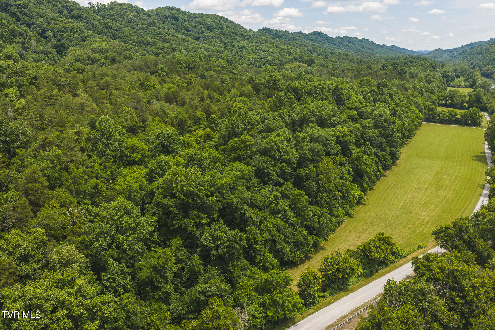 150-ac Big Springs Road Eidson, TN 37731 - Photo 8 of 24 DJI_20260616130053_0220_D