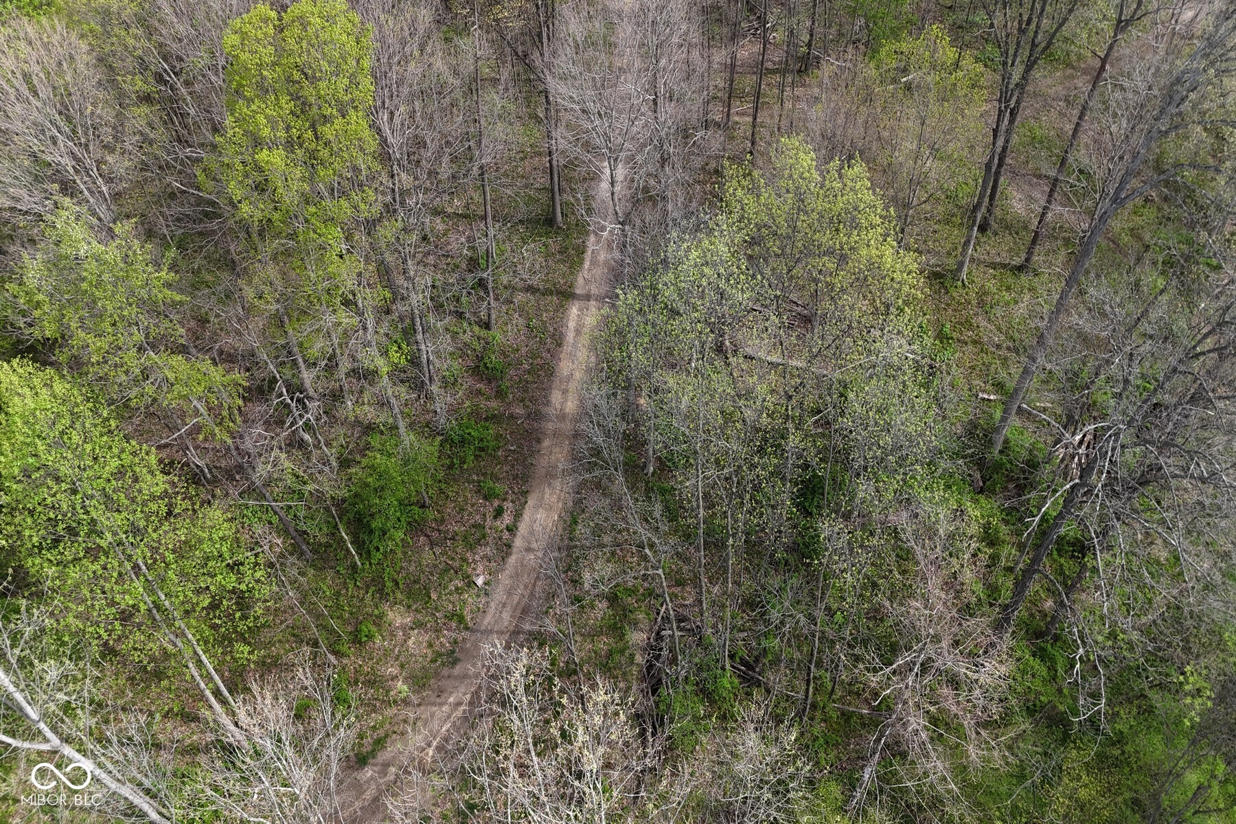 Tbd Awbrey West Road Cloverdale, IN 47456 - Photo 8 of 29