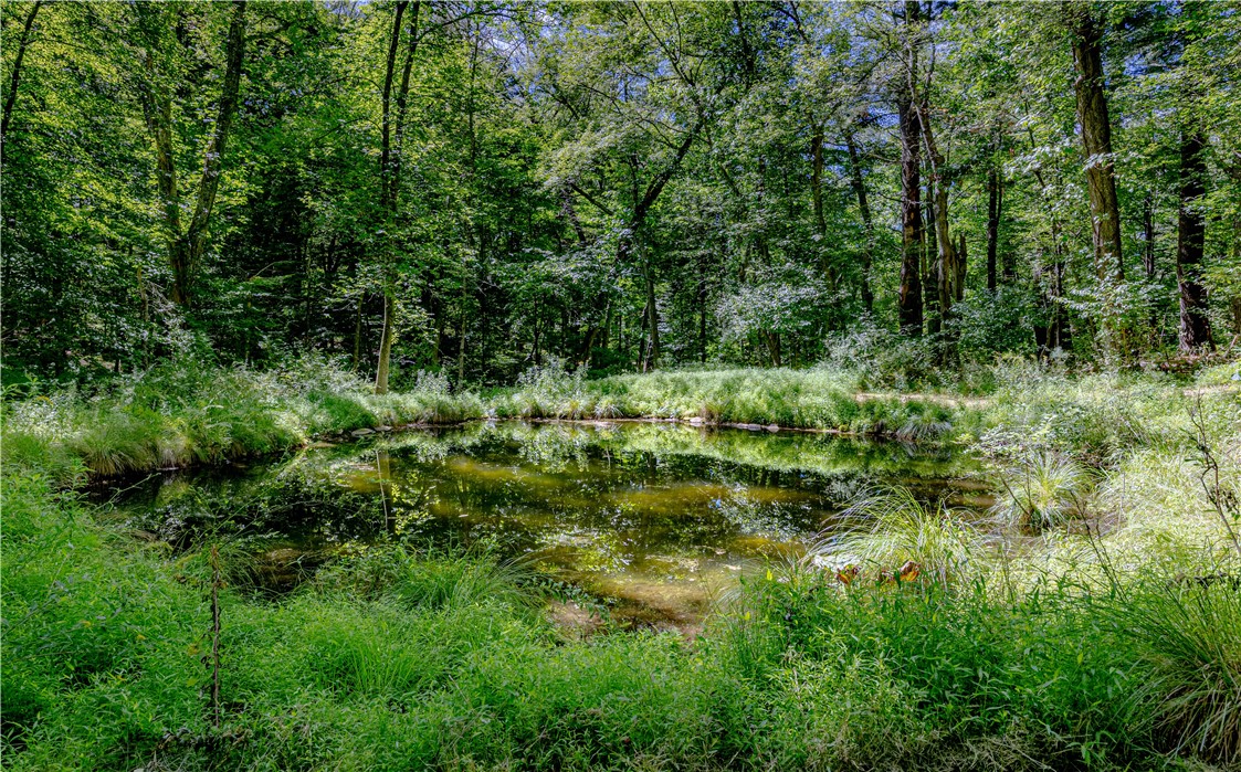 126 Cucumber Hill Road Foster, RI 02825 - Photo 9 of 22 Gallery Image 9