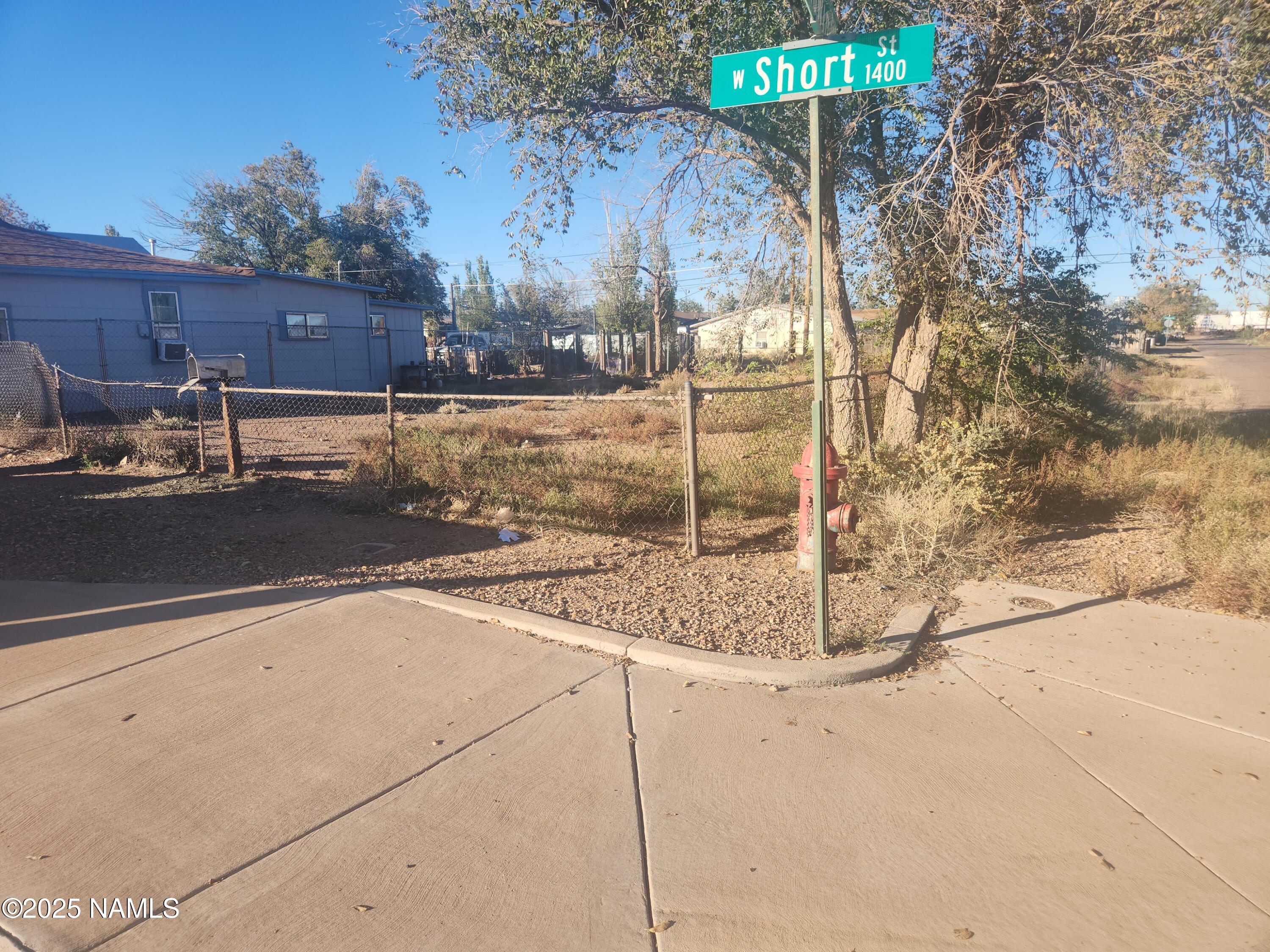 a street view along with trees