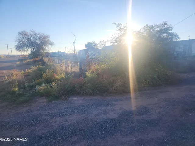 a view of a backyard of the house