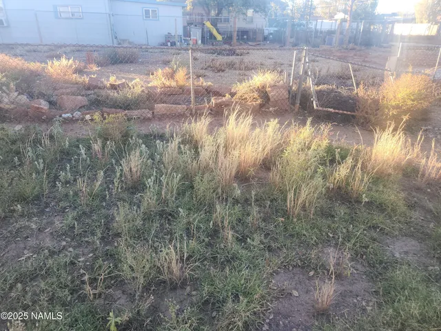 a backyard of a house