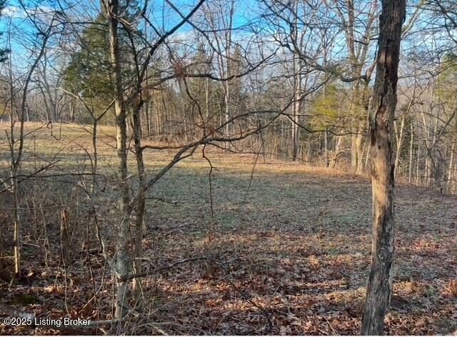 1008 Pattons Creek Road Pendleton, KY 40055 - Photo 26 of 40 1008 Patton Creek Rd